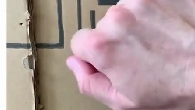 猫猫在家吗？你的外卖来了