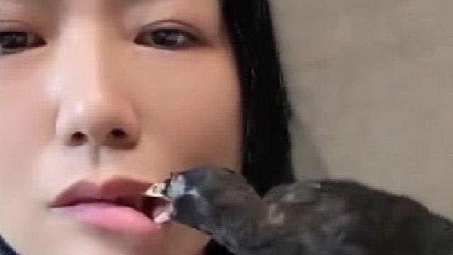 牙结石它能啄出来吗？