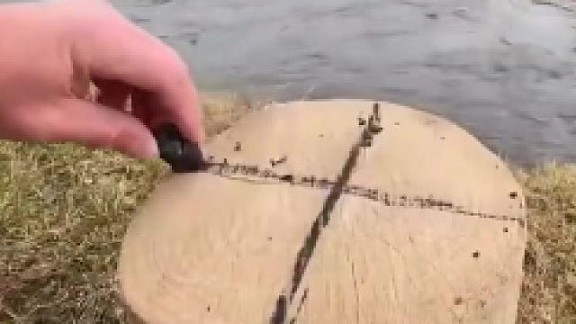 这烤鱼是什么水平？