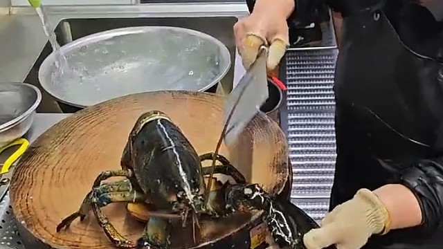 网友：最无情的果然是人类！