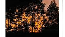 看到日落一定要这样拍，车内浪漫黄昏滤镜#每日一图  #随拍   #摄影教学 #手机摄影