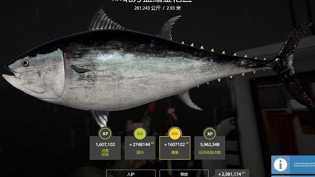 40多分鐘星金槍中魚(yú)起魚(yú)全過(guò)程，巨像佬鯊