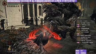 【沐】白狼流番外篇67 最強圣系植物人（出血免疫）