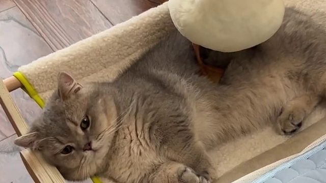 洗手液瓶子精限时返场