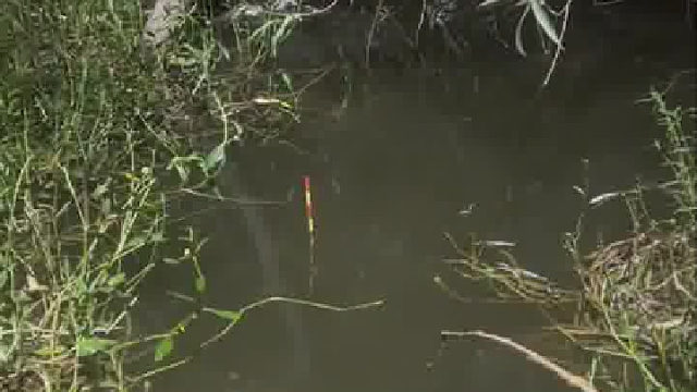 这种鱼竿看着就舒服，感觉一定会出鱼的感觉