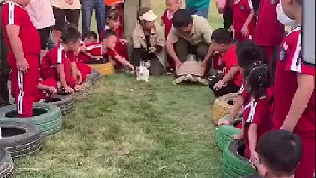 龟兔赛跑的故事是真的，原来兔子真的偷懒了