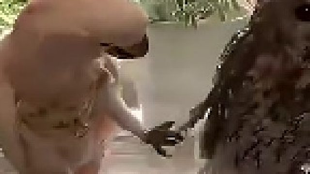 猫头鹰：摸就摸，你掀我裙子干啥