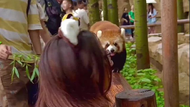 第一眼就决定了