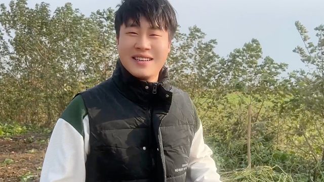 种18亩红薯正式出土，一家人从天亮忙到天黑，爸爸贴心做丰盛晚餐