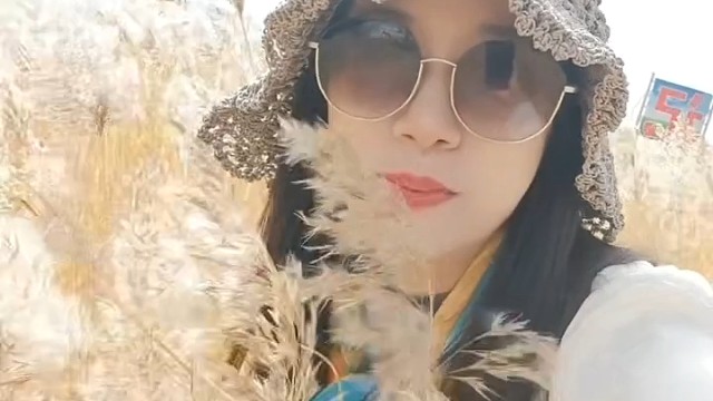 美丽的岱海湖畔