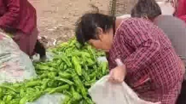 一毛一斤没人要