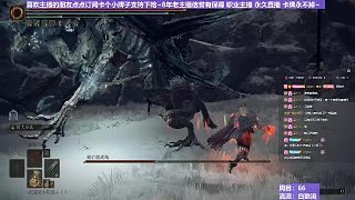 【沐】白狼流番外篇75 最強死鳥（出血免疫）
