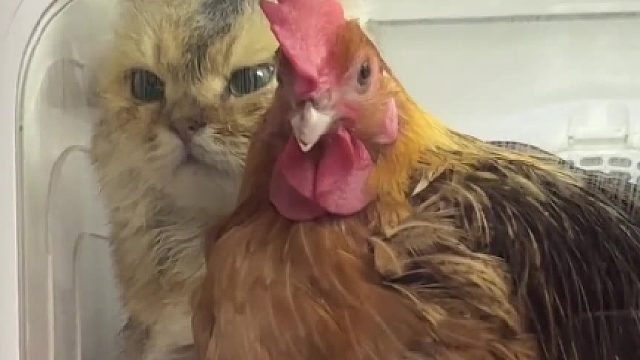 我觉得咱俩多少有点暧昧