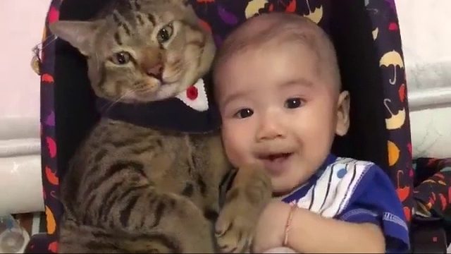 和宝宝一起躺摇椅的猫猫！