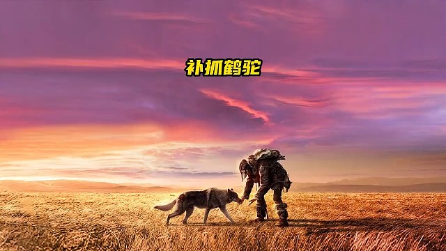 将近一百斤重的大鸟被猎人用长矛轻松贯穿了身体，就连可爱的树袋鼠也一样没有逃过