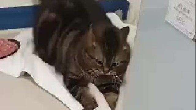 毛巾惹你生气了...