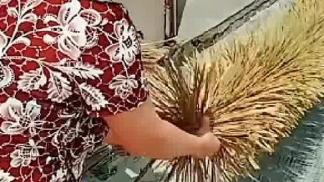 知道在农村这是做什么用的吗……