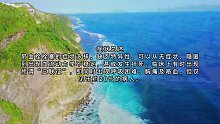 肺栓塞(十八)