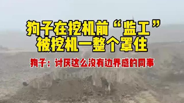 狗子：讨厌这么没有边界感的同事