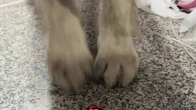灭火的路上停不下来