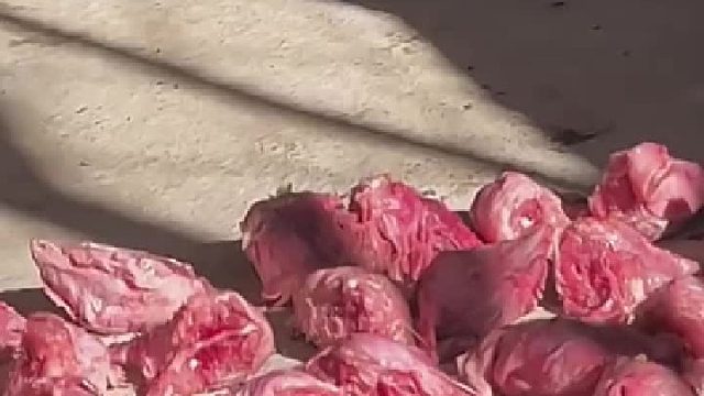 名正言顺的：狼吞