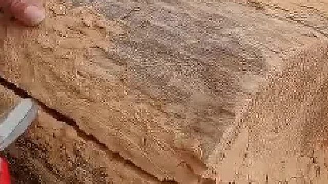 我就被这玩意叮了一下太阳穴，毒腐蚀肉，形成了一个永久性的小圈