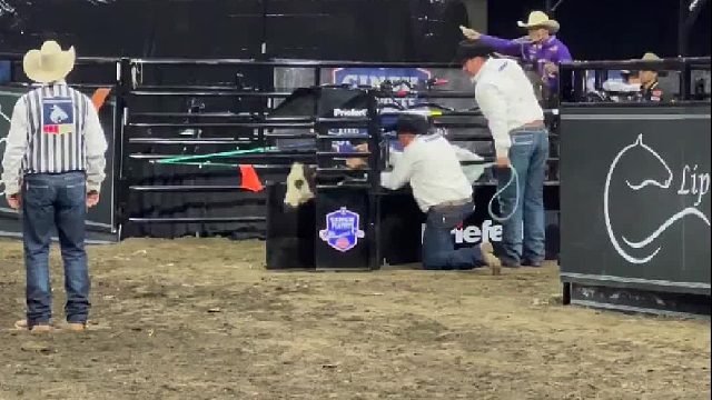 这小牛犊一天不被虐八百遍，那都不行