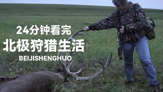 北极生活：因纽特人狩猎海豹艰难求生， 猎人捕捉驯鹿收获颇丰！