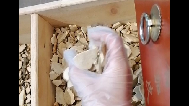 手抖？早发现早治疗早恢复