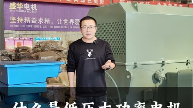 什么是低压大功率电机。