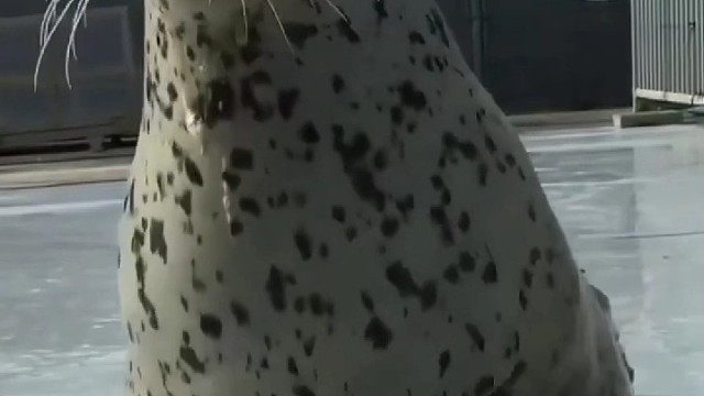 弘扬中医文化 #快捷中医 #技术专利