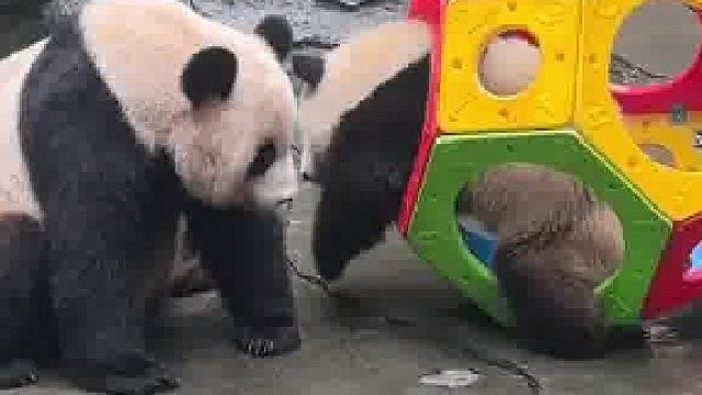 渝可你以为躲里面妈妈就揍不到你了？只是妈妈太好了不揍你而已