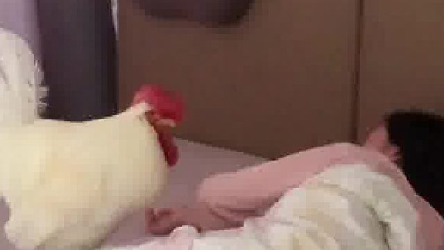 这一种起床叫醒服务，你值得拥有……