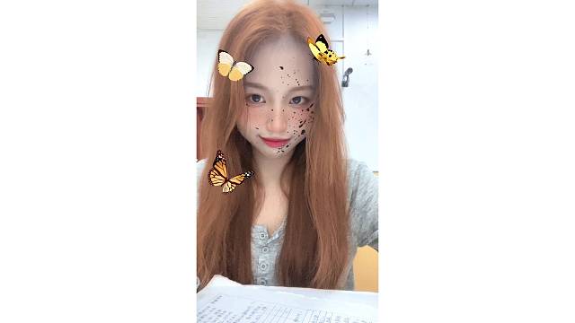 喜欢小蝴蝶 也喜欢你