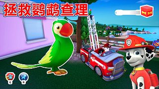 汪汪隊立大功世界：毛毛拯救鸚鵡查理 找回亞歷克斯的零食盒