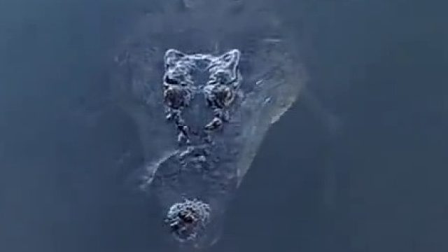 上山采痔疮草路上发现的，千万不要靠近陌生水域，太吓人了