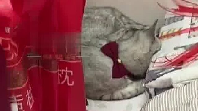 娘家人的陪嫁就是女孩最大的底气