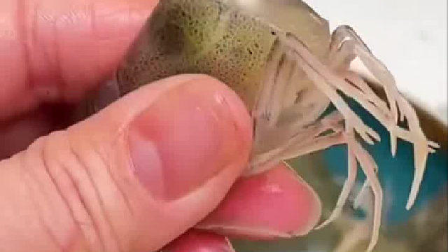 这样简单又方便哦