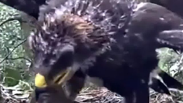 孩子都这么大了，为啥还让它啃老……