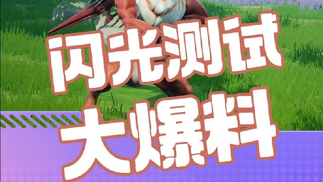 闪光终测大爆料！！