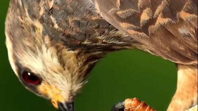 今晚吃螺，主打的就是一个新鲜。