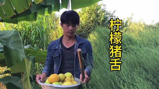 不一样的烟火柠檬，酸酸甜甜