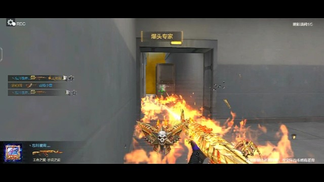 意想不到的惊喜