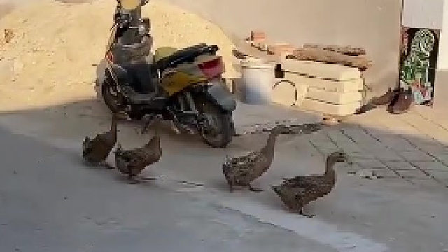 瘦巴巴的老爷们儿一起走啊~