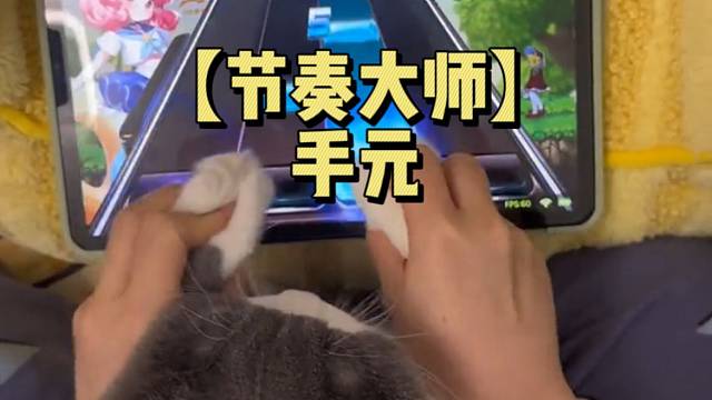 【节奏大师】手元