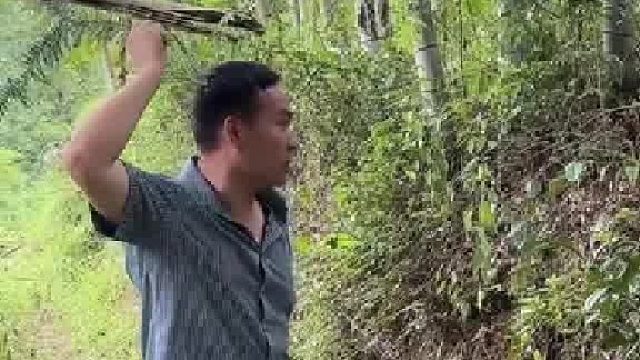 判5年 判5年 判5年