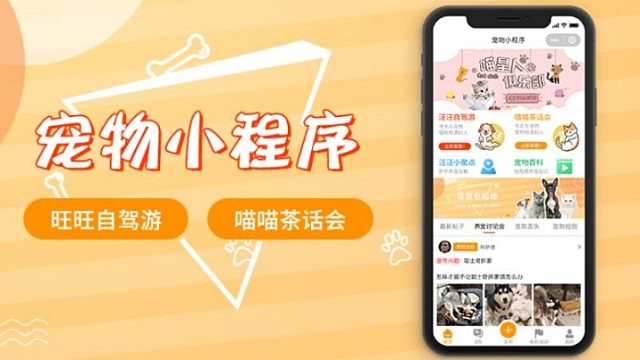 宠物交友系统：让宠物们拥有更多的乐趣和社交机会