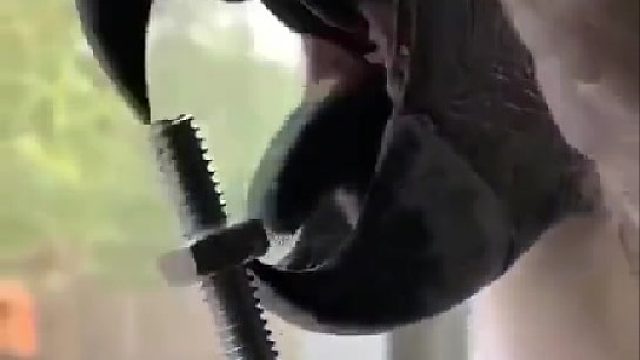 鹦鹉嘴里住了个钳工吧