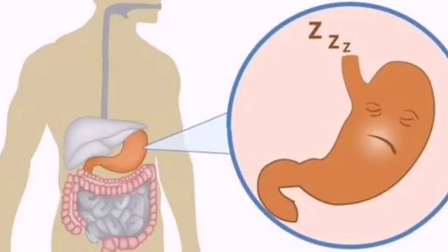 山西黄河医院&碳水食用过少会减慢肠胃蠕动