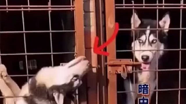 等到了开头，没猜到结尾